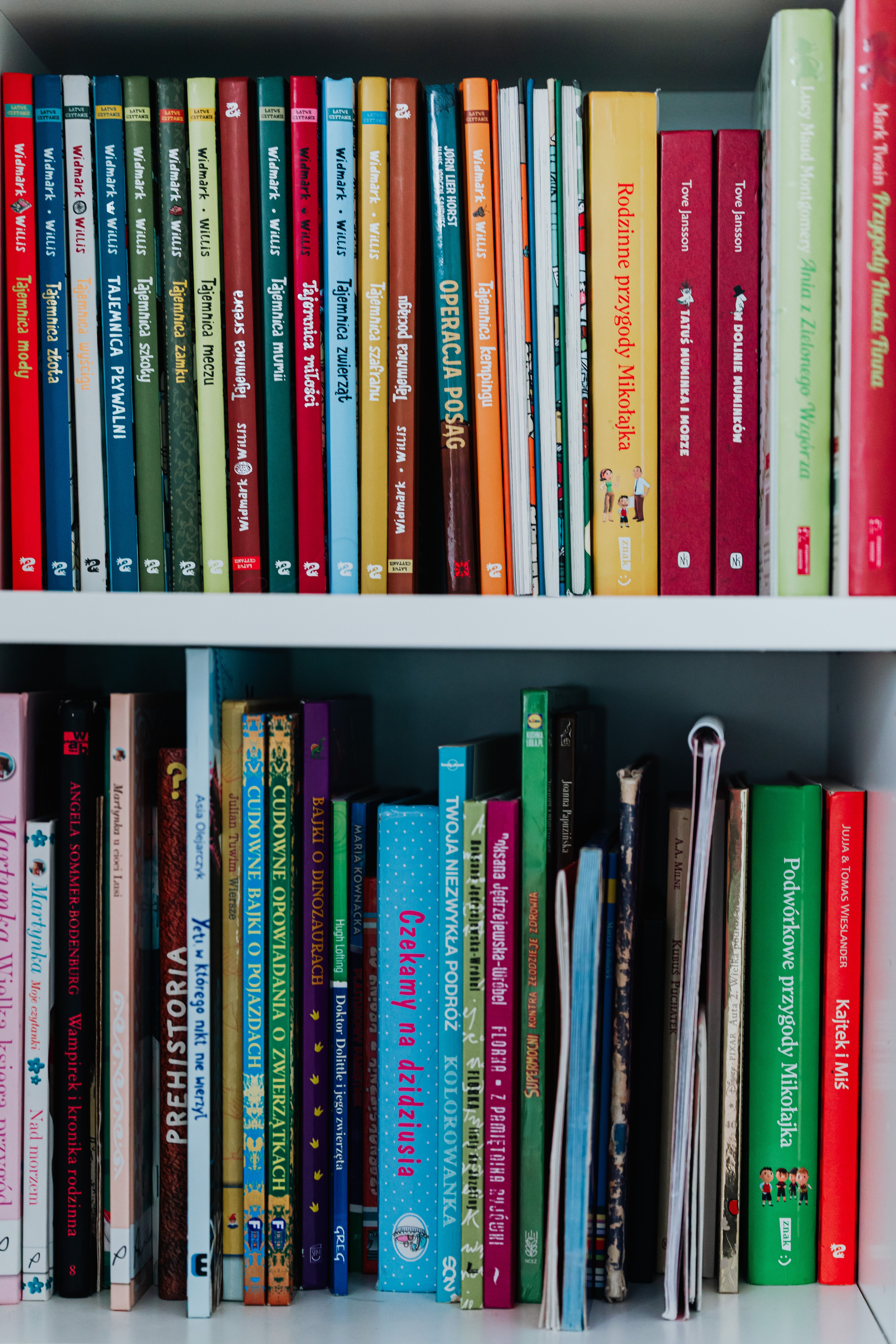 Bookshelf filled with books